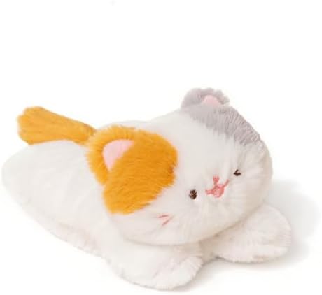Calico Cat Kitten