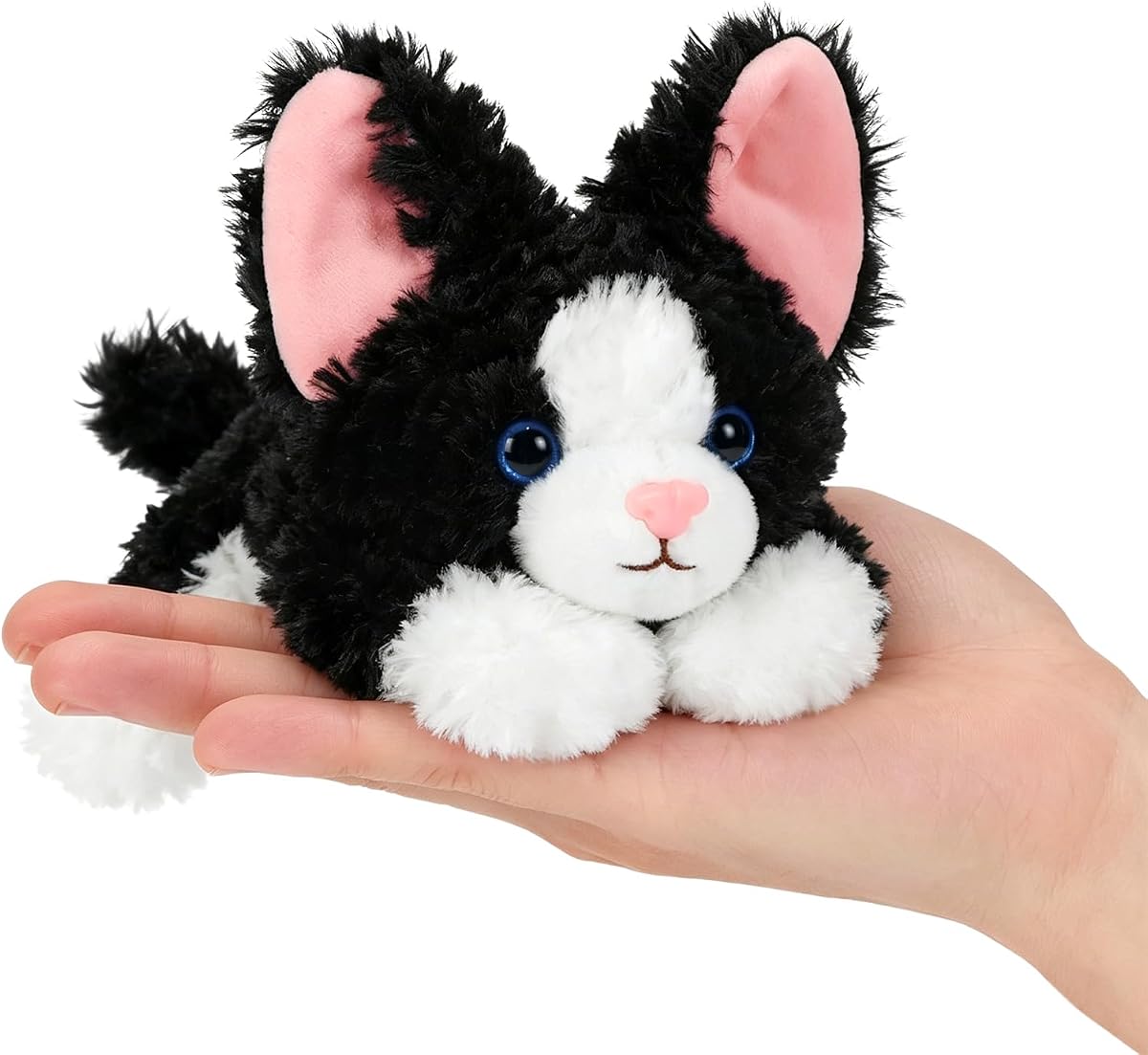Devon Rex Cat Kitten — view 2