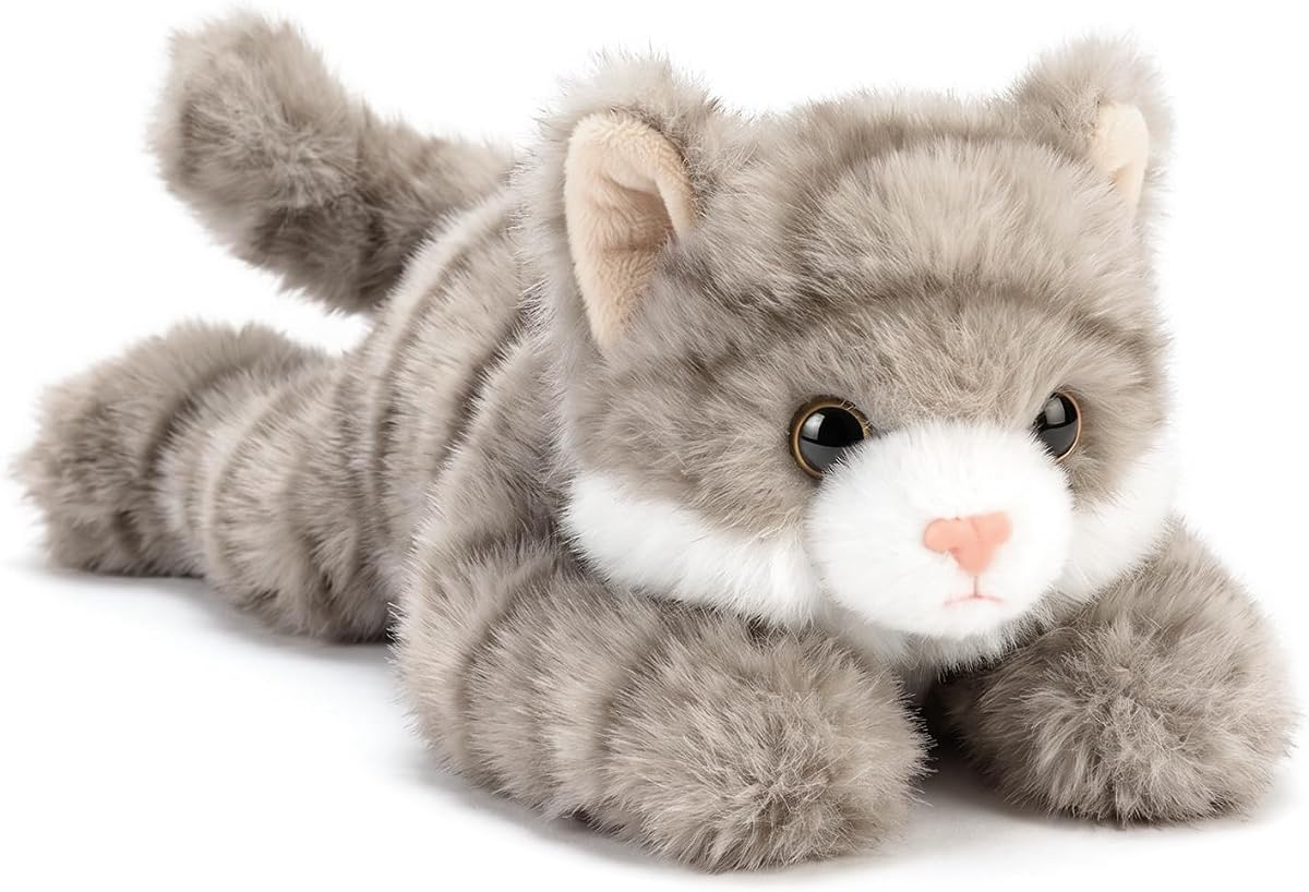 Cat — view 2