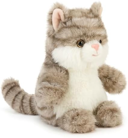 Cat Kitten