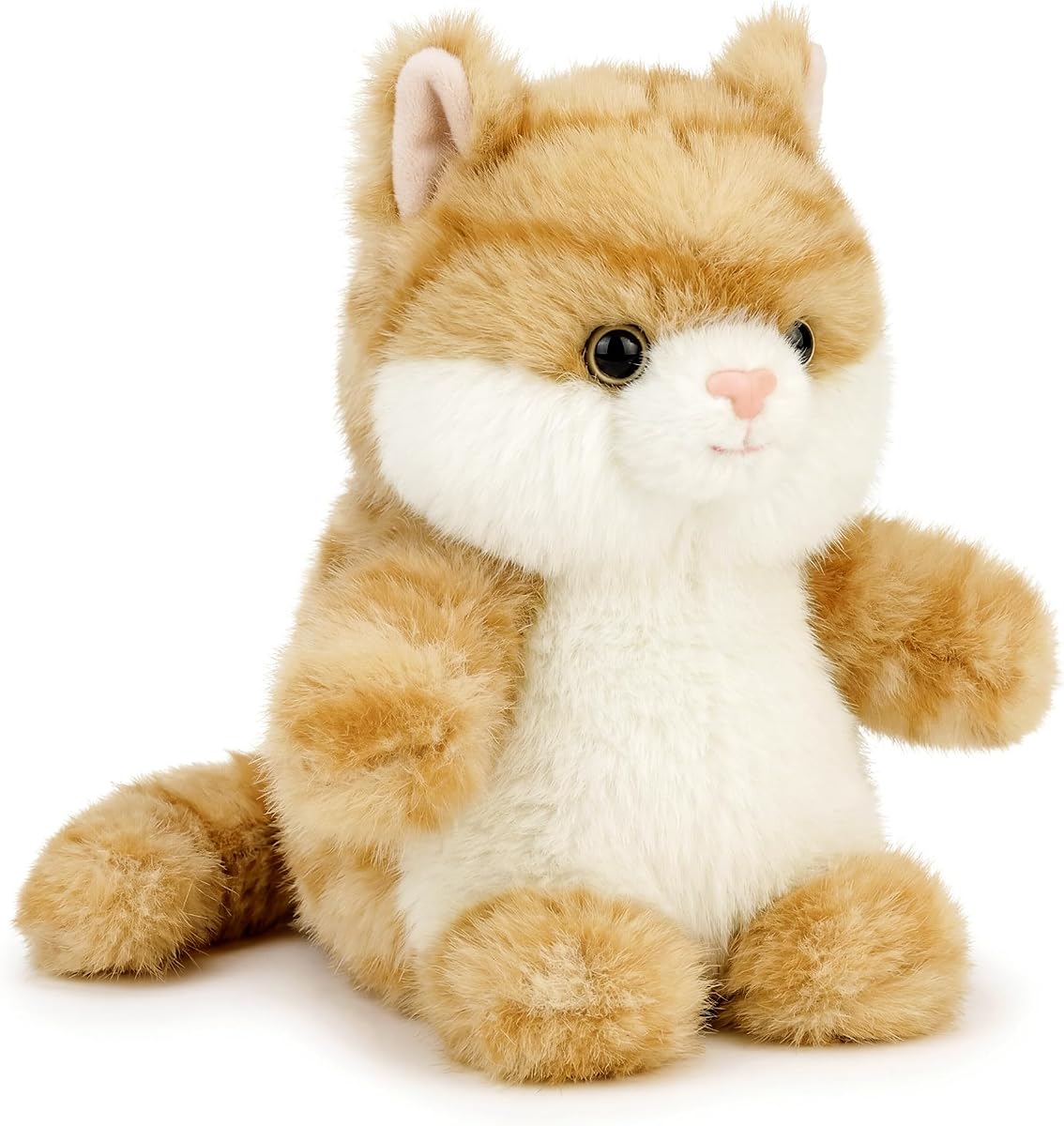 Cat Kitten — view 2