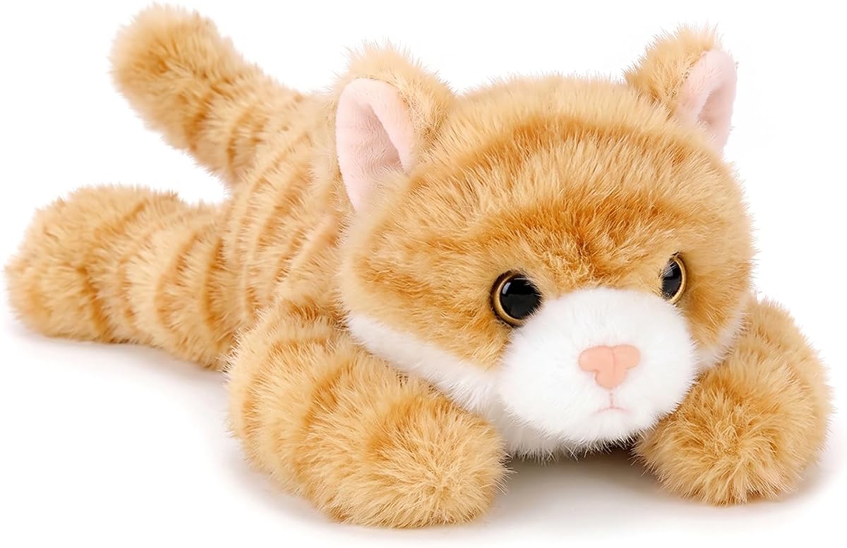 Orange Tabby Cat Kitten — view 2