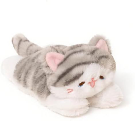 Tabby Cat Kitten