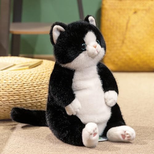 Tuxedo Cat Kitten — 14"